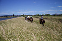Boutique Horse Treks, Clive, New Zealand.