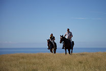Boutique Horse Treks, Clive, New Zealand. Natural Horsemanship.