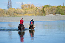 Boutique Horse Treks, Clive, New Zealand. Natural Horsemanship.