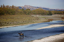 Boutique Horse Treks, Clive, New Zealand. Natural Horsemanship. Te Mata Peak, TukiTuki River.