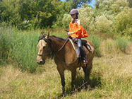 Boutique Horse Treks, Clive, New Zealand. Clearview Winery, Te Awanga